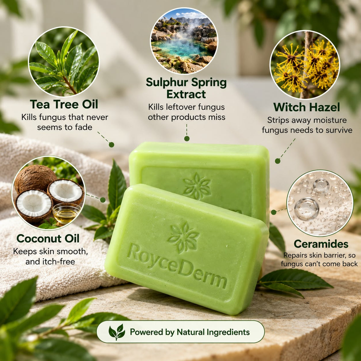 Royce Derm™ Antifungal Soap